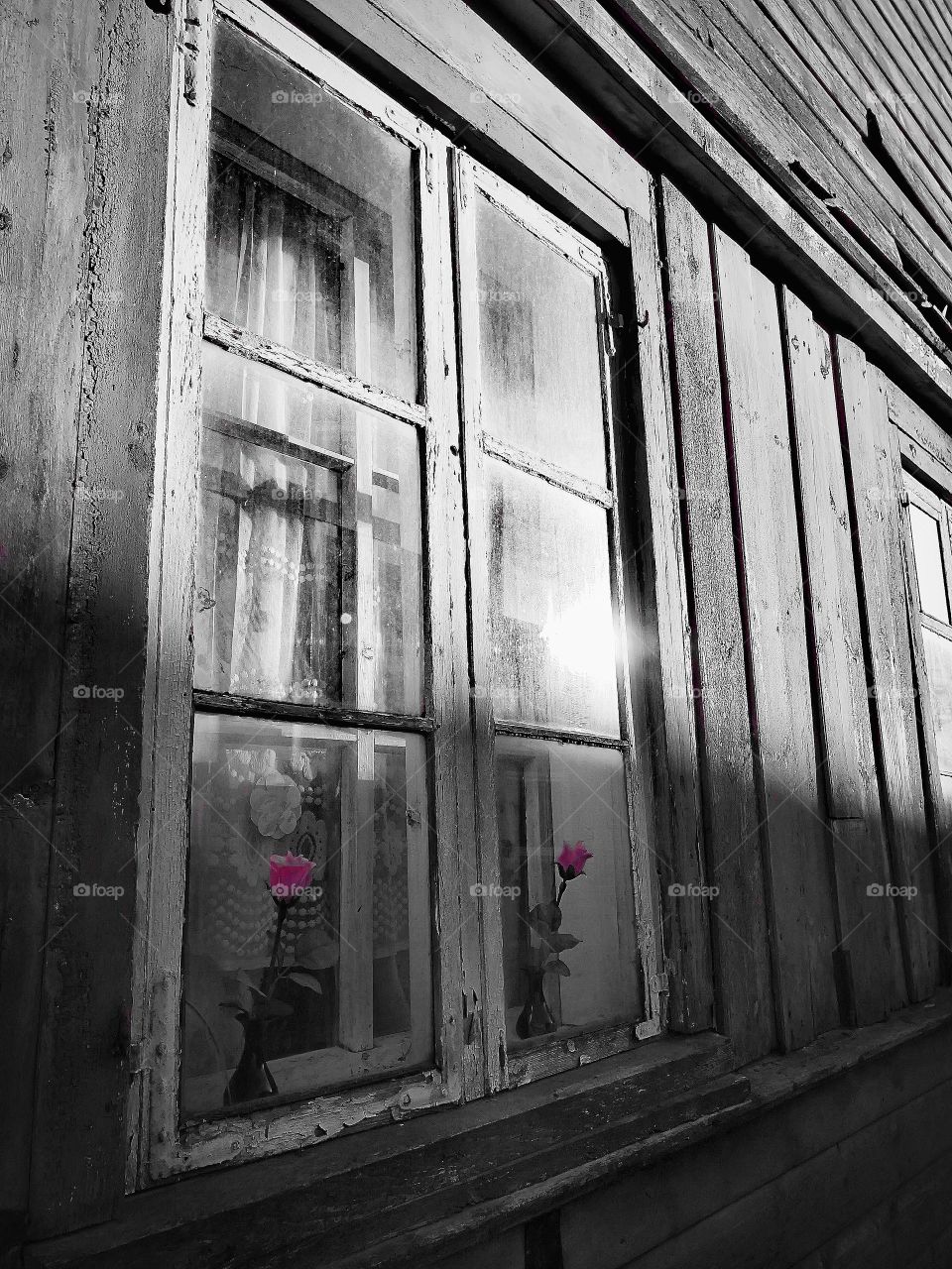 A little colors in the life.