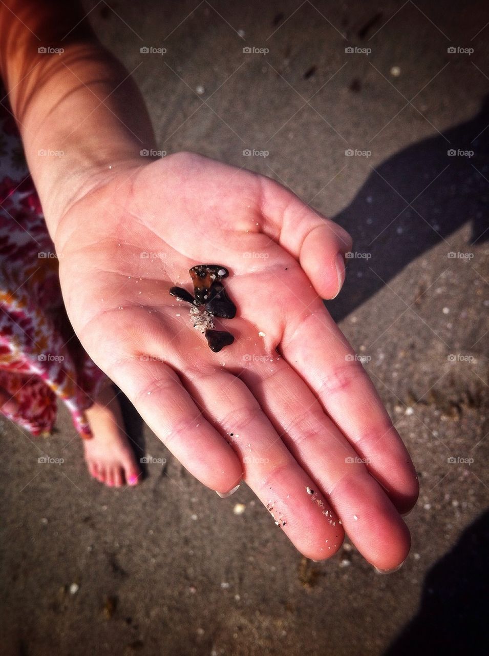 Sharks teeth.