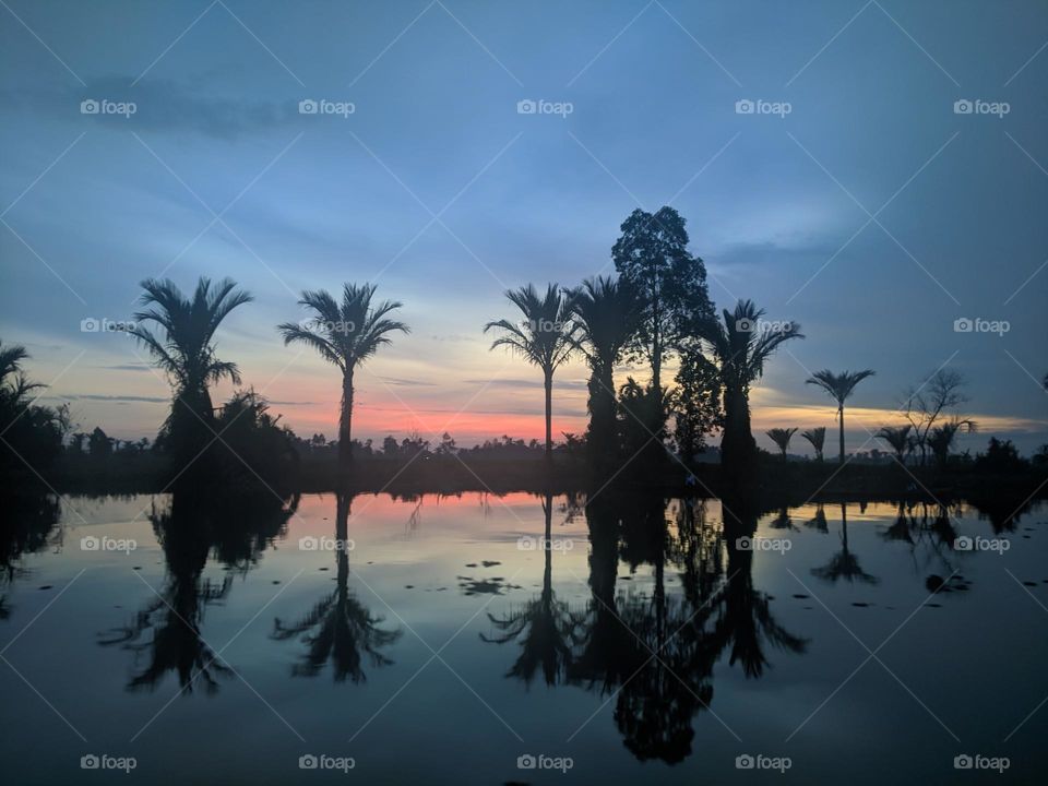 Beauty by the lake at sunrise