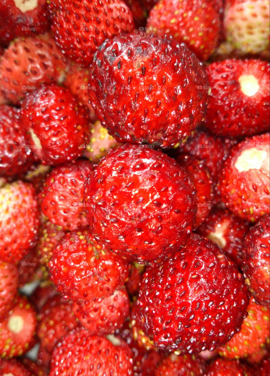 Wild strawberries. Wild strawberries closeup