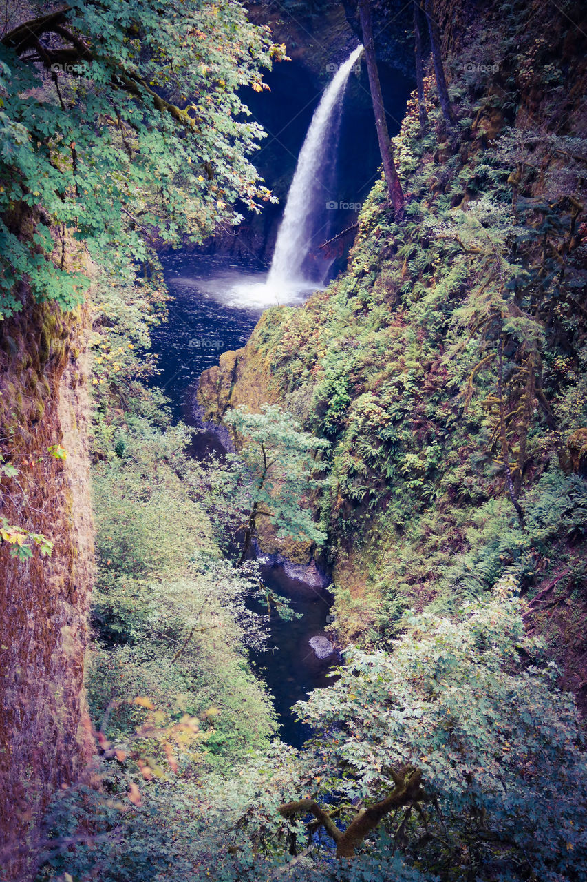 Cliffside over the edge