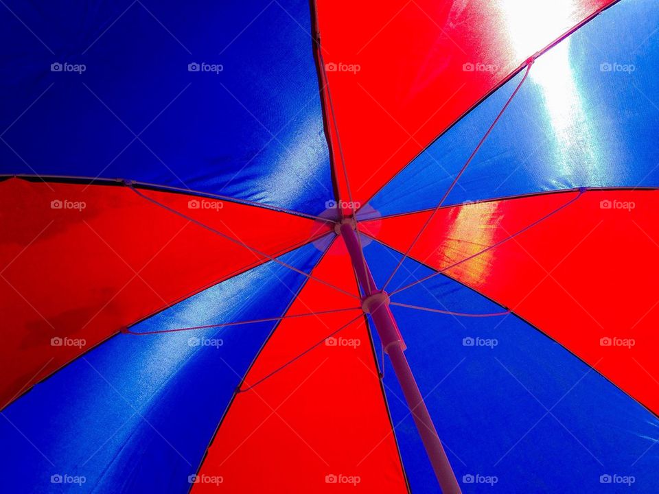 Umbrella 