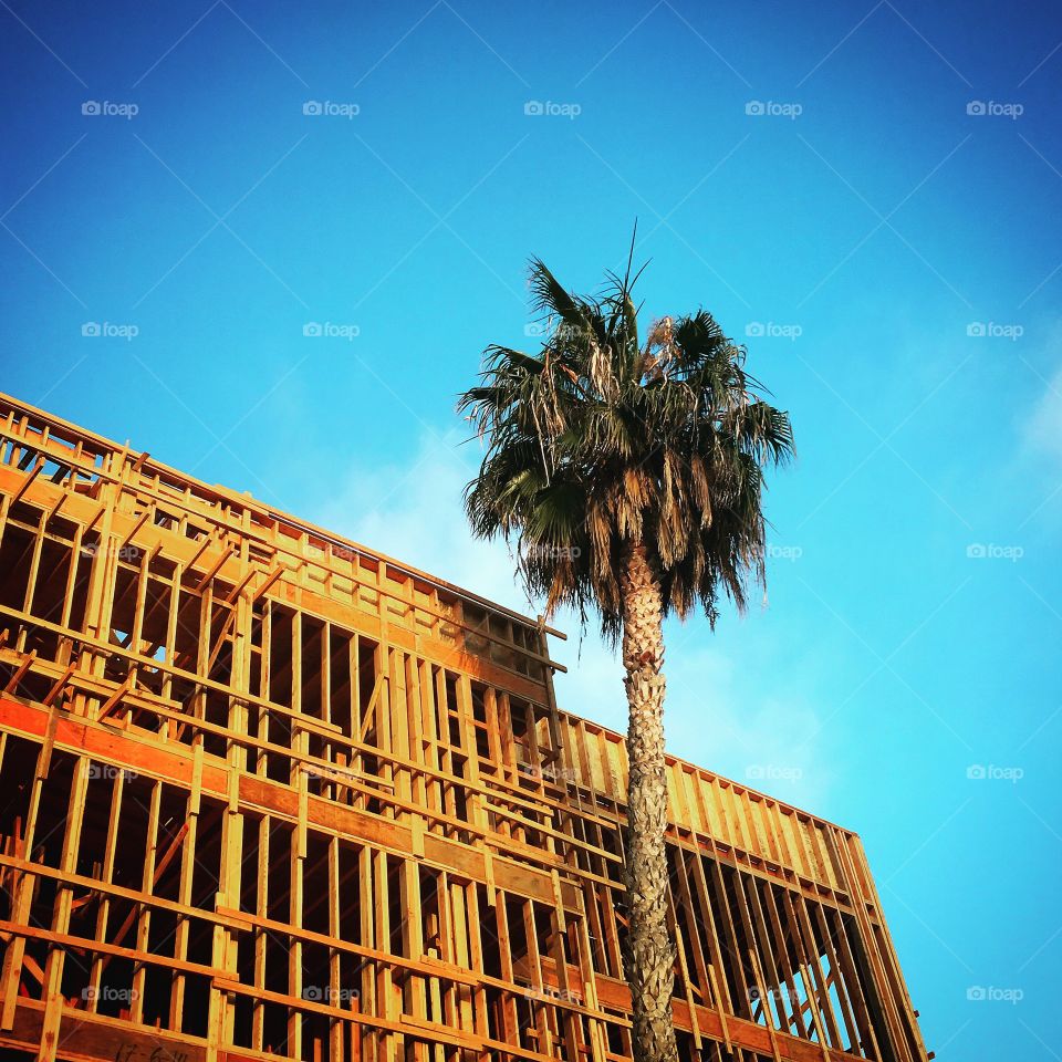 Wood frame construction in California with Palm tree in the foreground