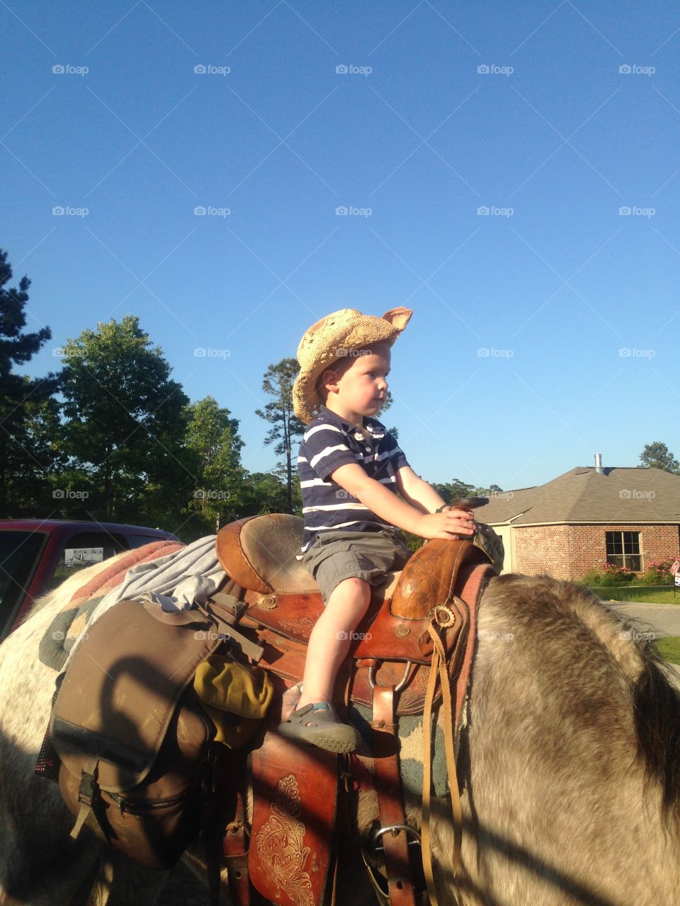 Little Cowboy. Boy horseback riding