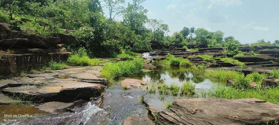 nature's Beauty 😍