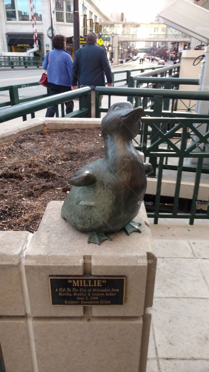"Millie" the duck on the Riverwalk in Milwaukee, Wisconsin