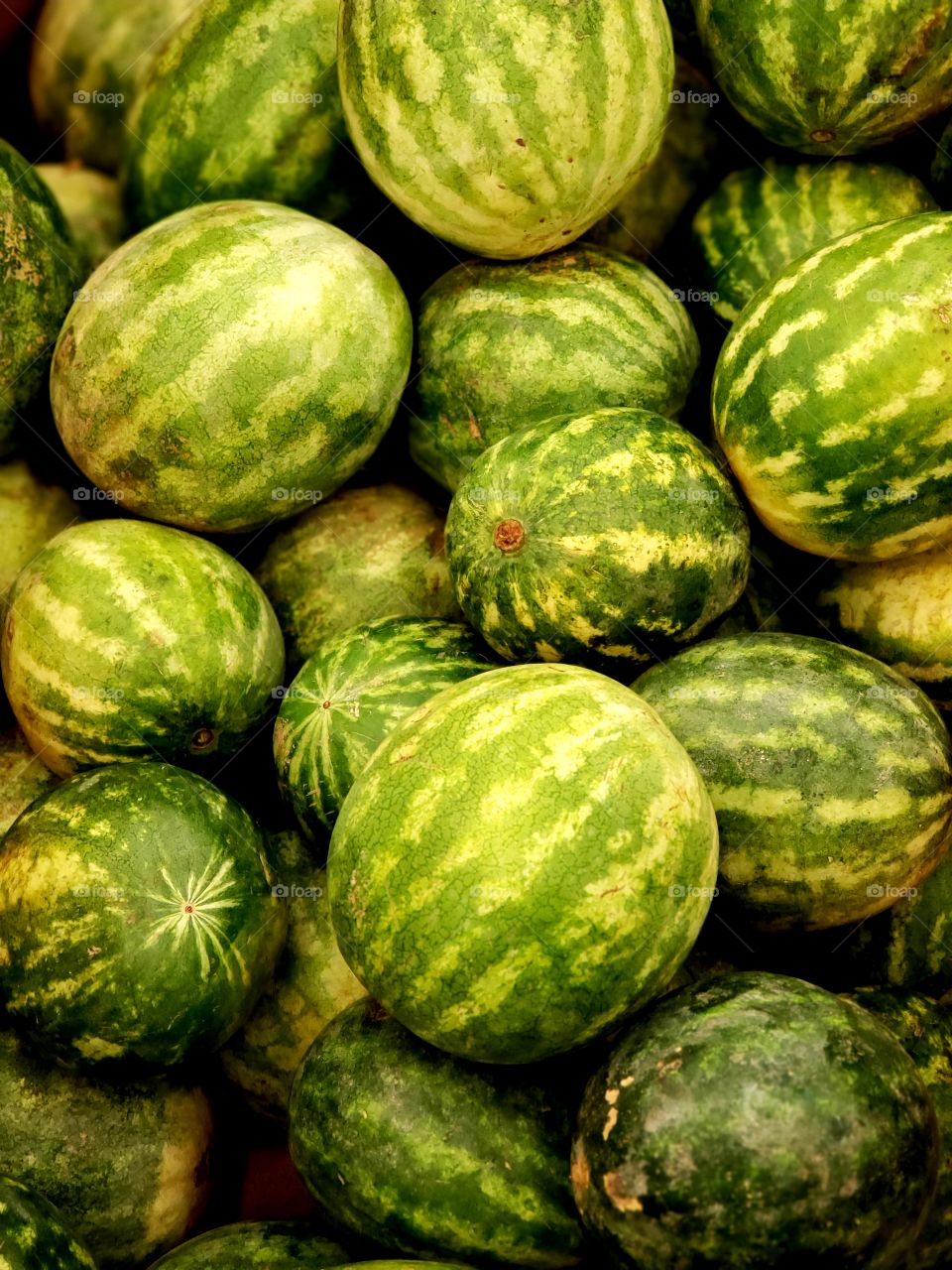 Watermelons