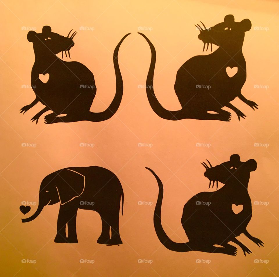 3 rats 1 elephant