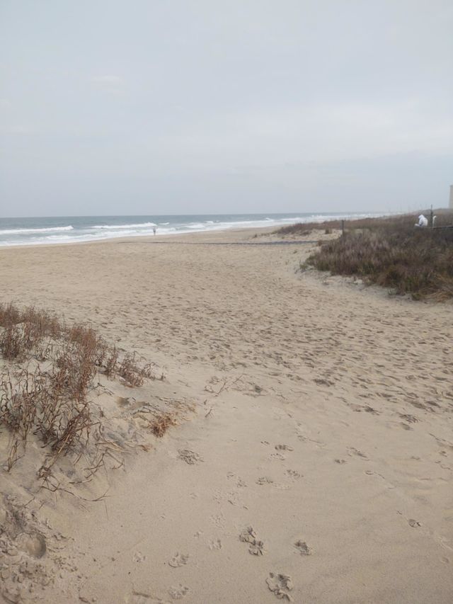 Nags Head NC