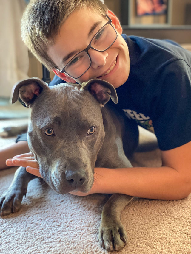 Loving pitbull 