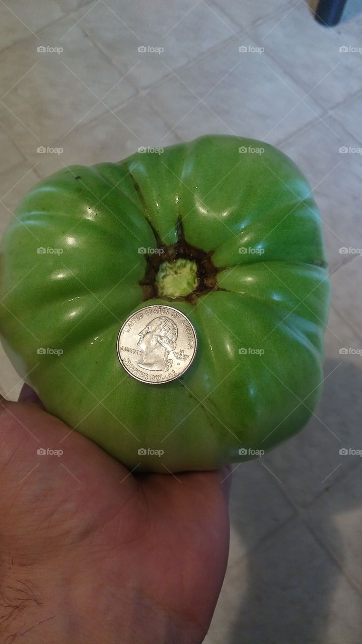 tomato