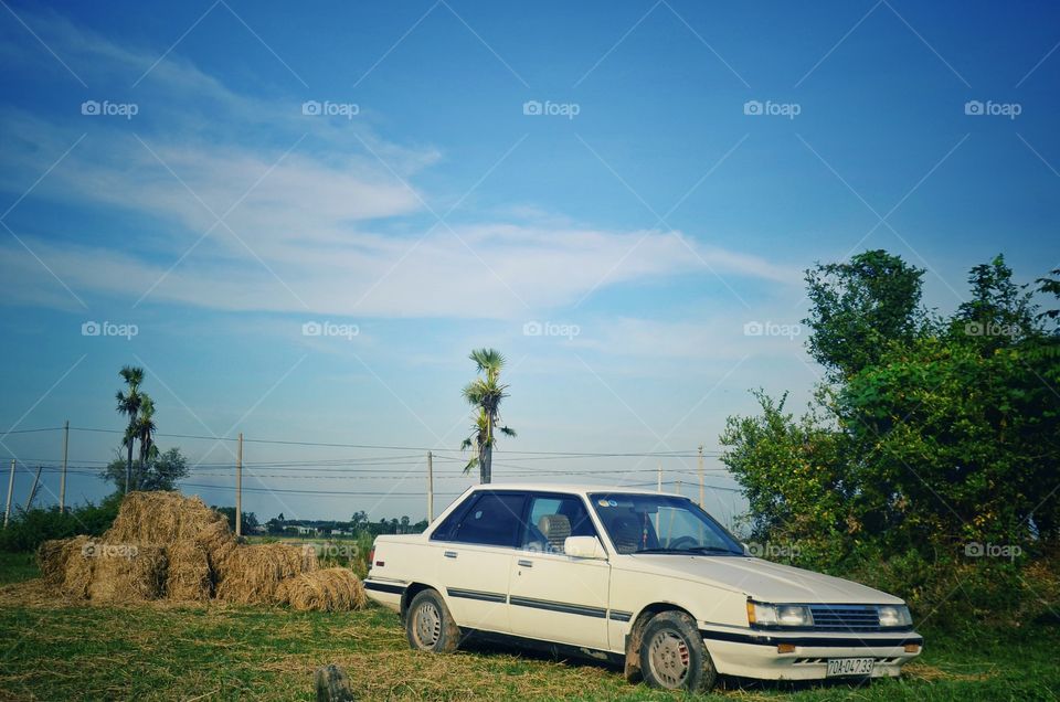 car in farm