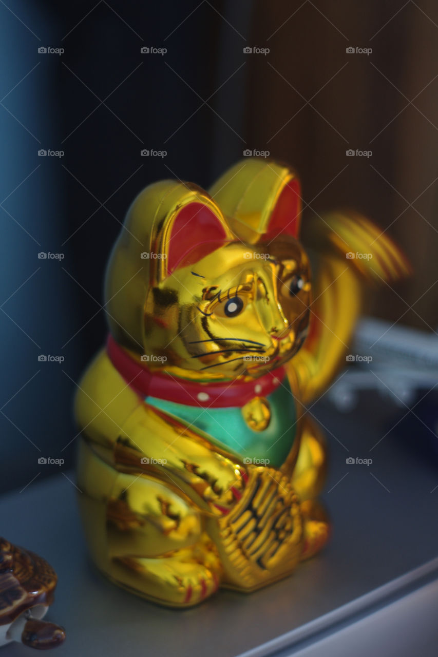 Maneki Neko Lucky Cat on My Television