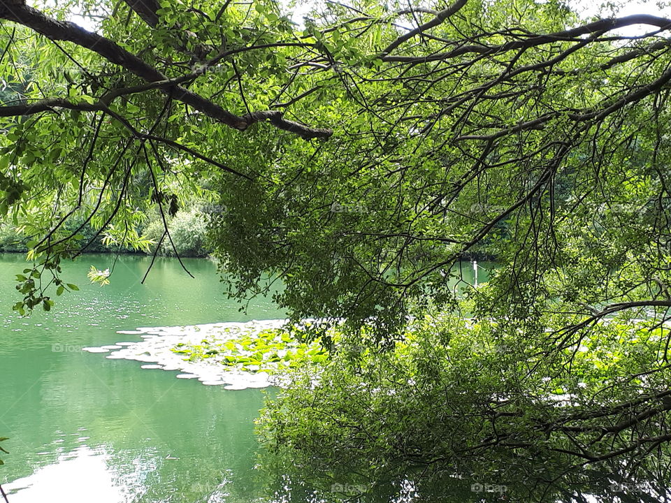 Green Lake