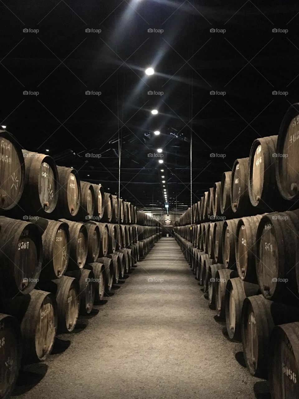 Wine cellar Porto Portugal 