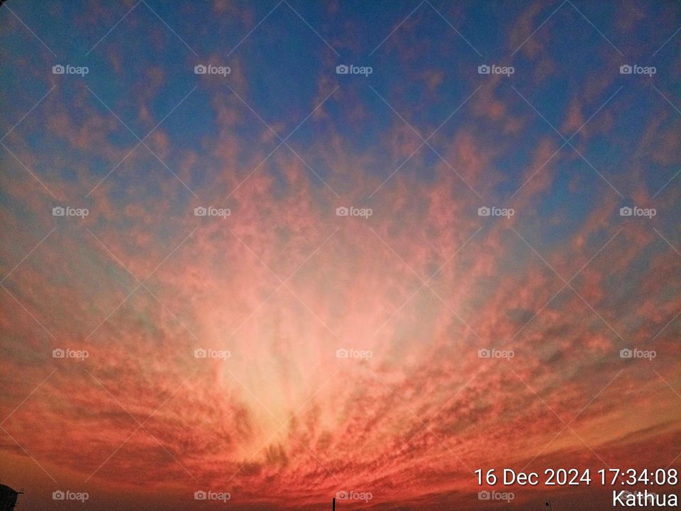 Upload the photo of the month December