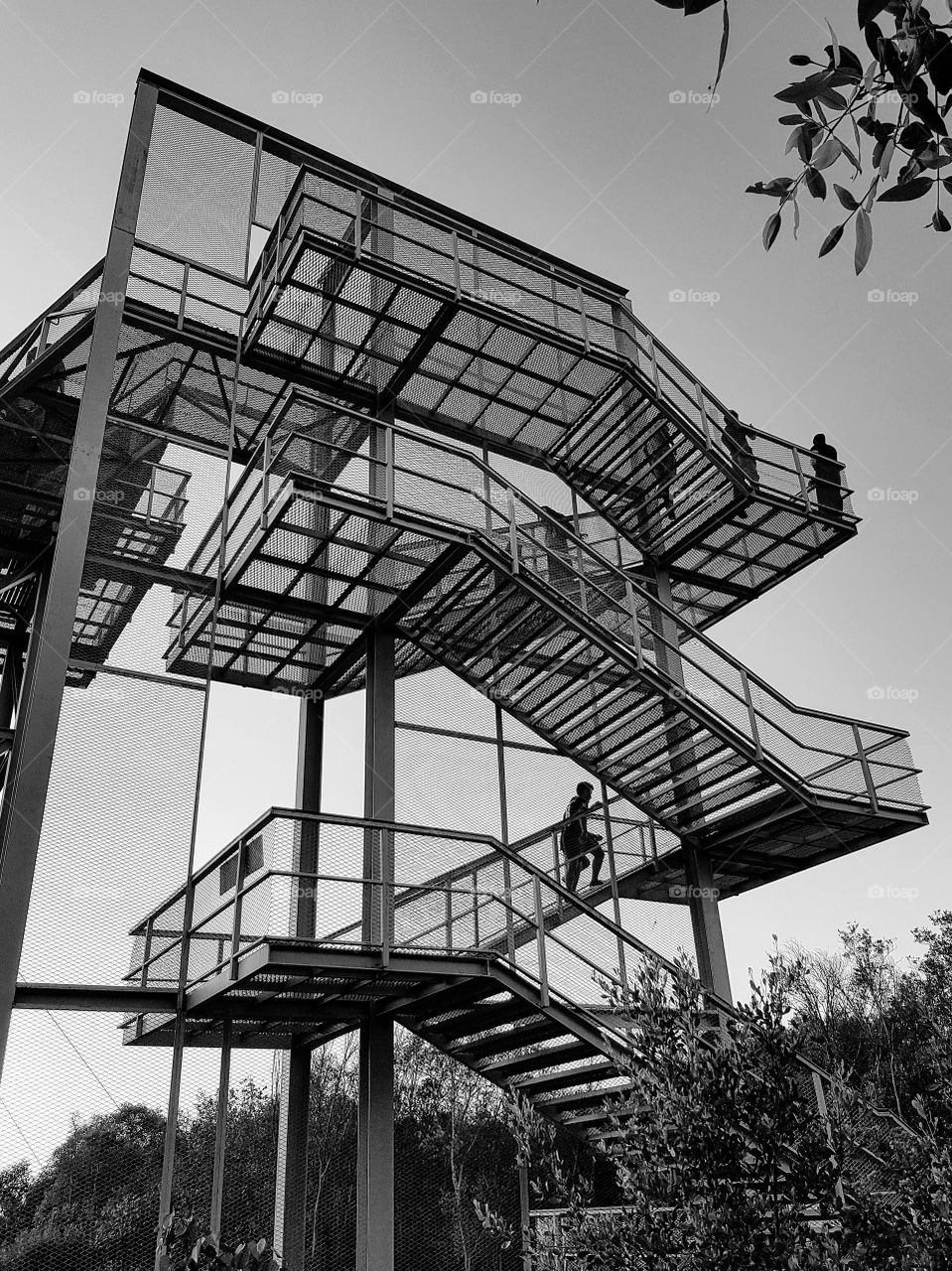 Black and white shot: The skywalk structure in Thailand
