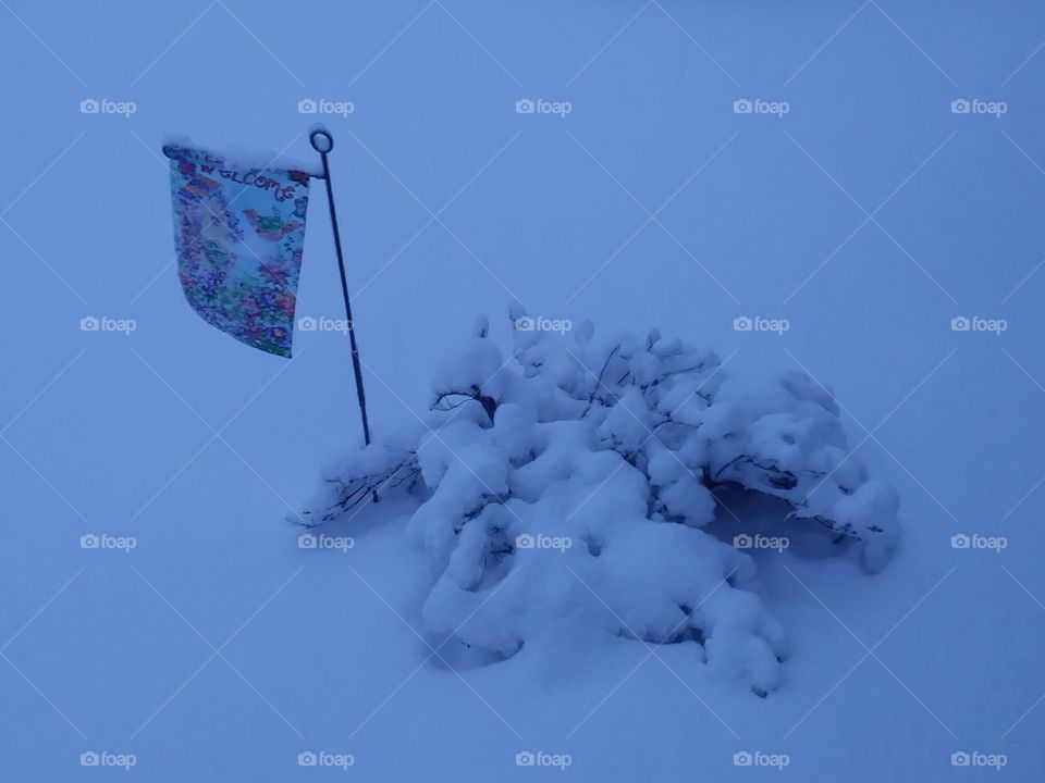 snow flag