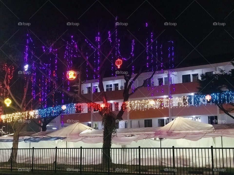 Beautiful street and trees decorated with lightings 