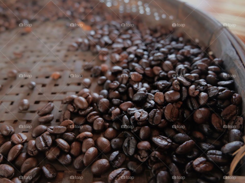 coffee seed