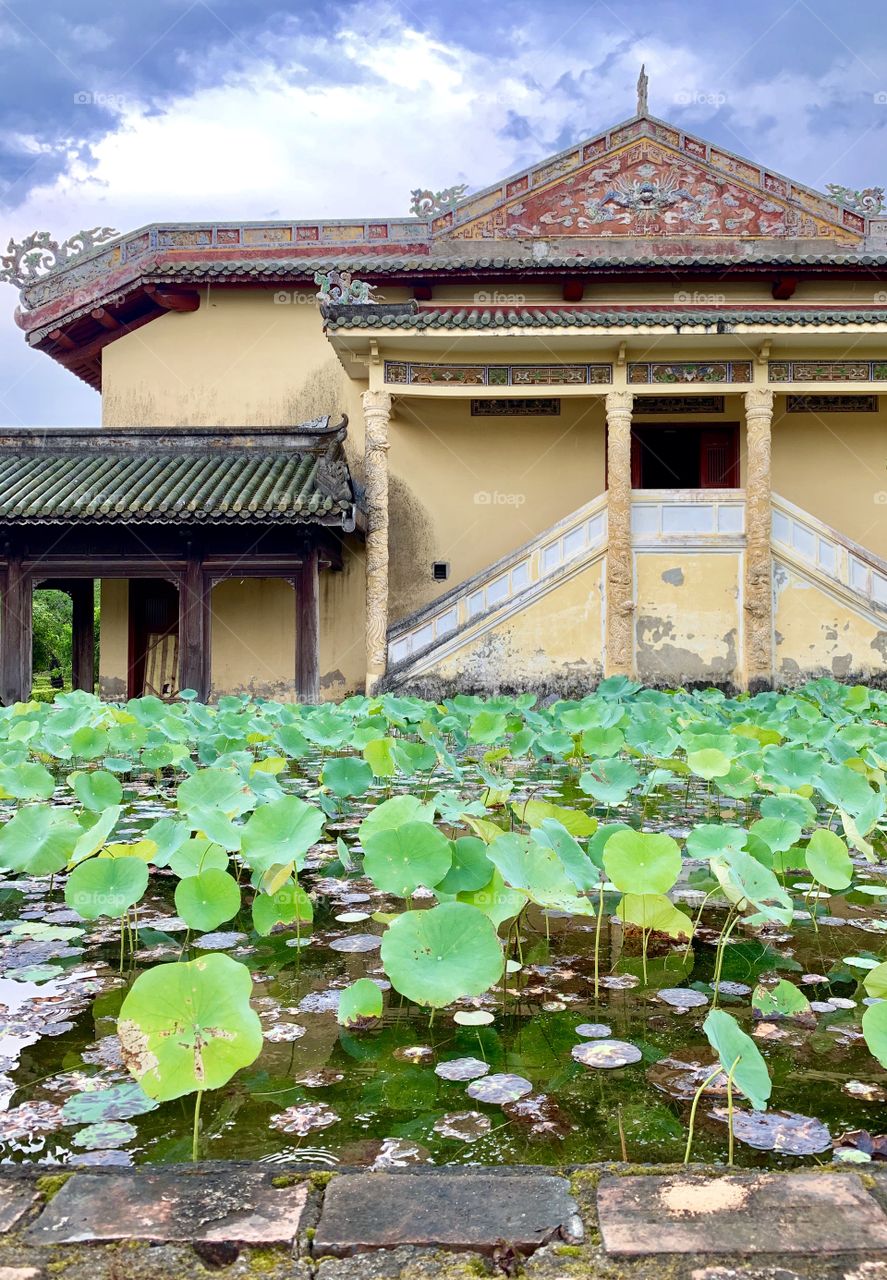 Lotus pond at the Imperial City, Hue, Vietnam 
