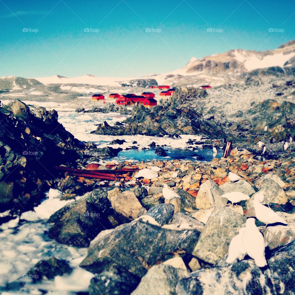 Esperanza base, Antarctica.