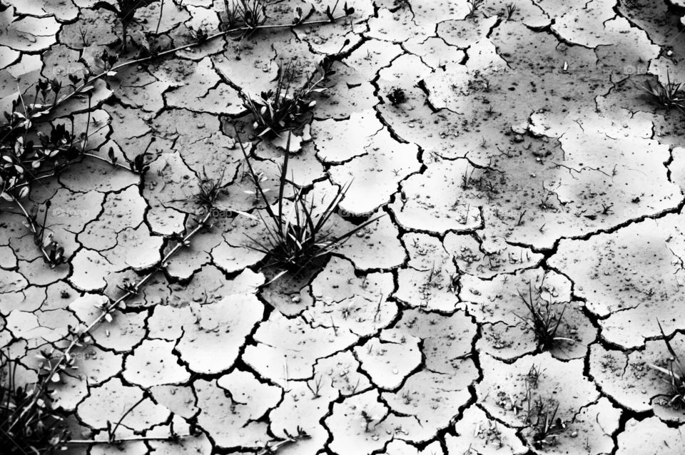 abstract cracked dried mud