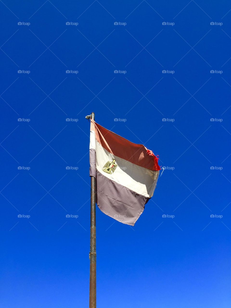 Egypt’s flag