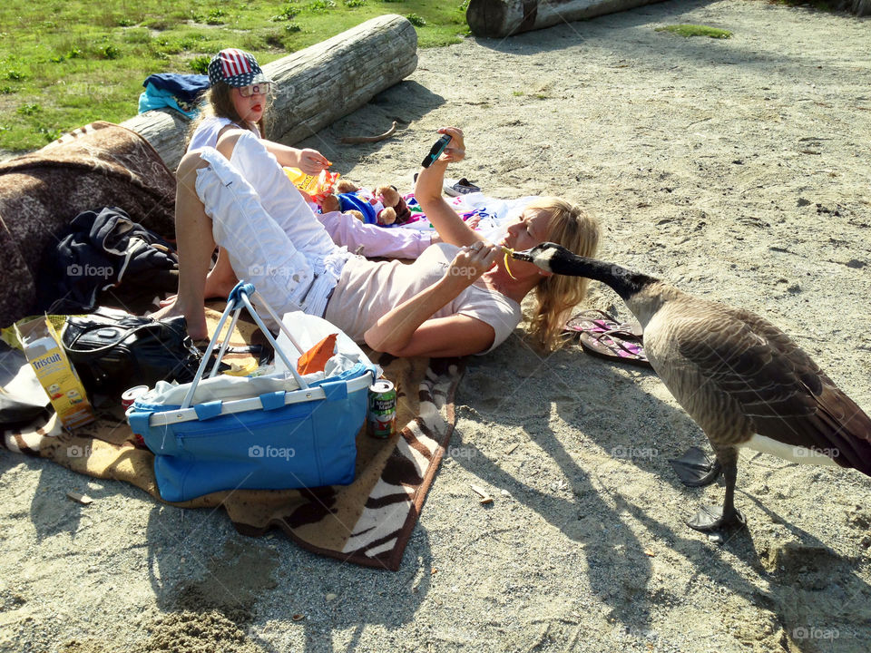 Woman taking selfie with canadian goose