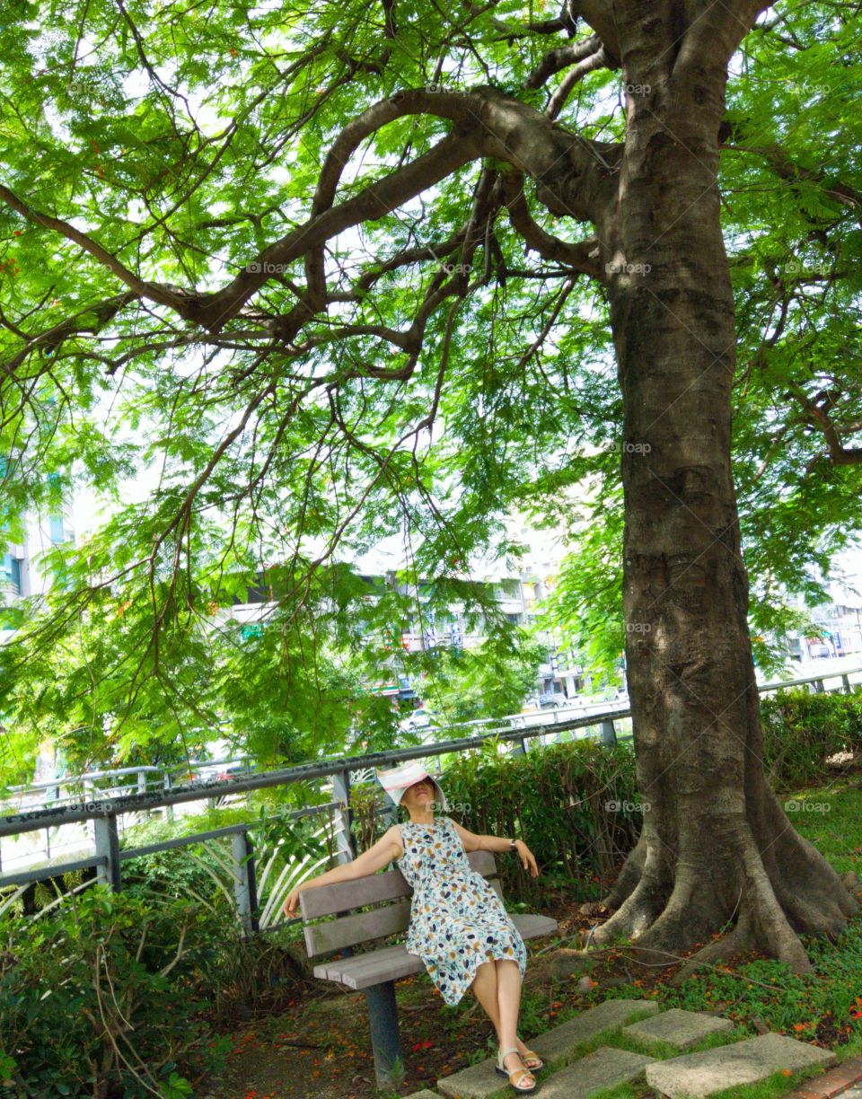 It's summertime!: going on Taichung City Green parkway, you can sit down park seat and take a rest or take a nap, enjoy cool fresh air and breeze if you are tired. the shade of big tree will be with you in lush summer.