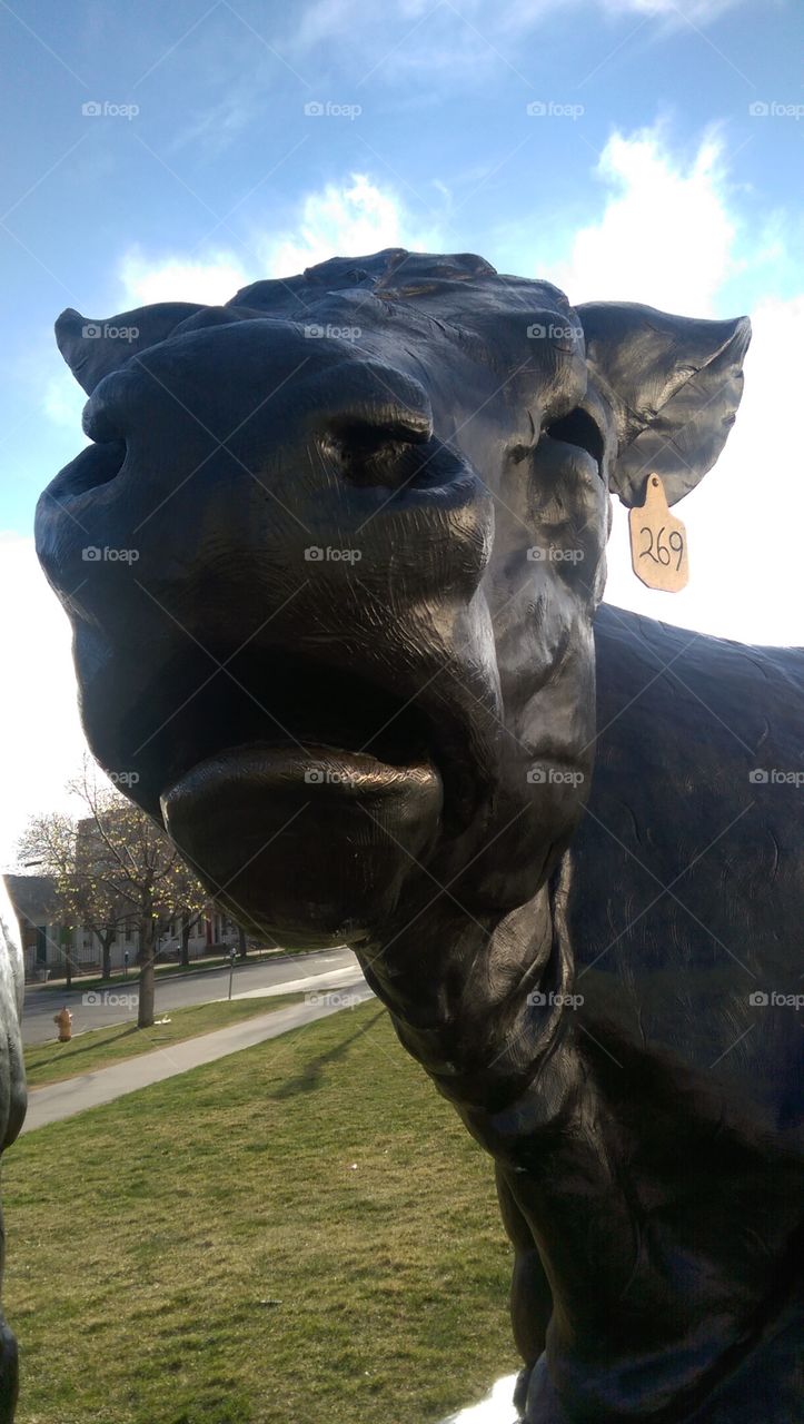 cow statue