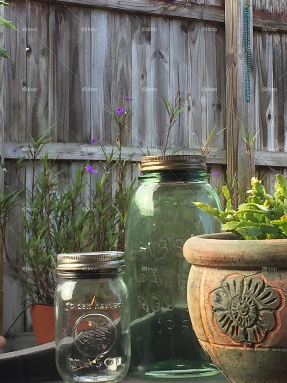 Texture. Color. Glass. Mason Jar. Garden Decor. Christmas Cactus. Clay  pot. Flower. Design. Wood fence. Rustic. Simplistic. Illuminated.