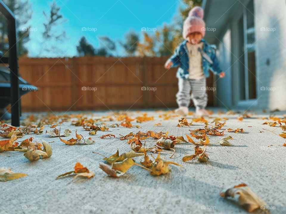 Toddler walking through leaves, toddler in nature, baby’s first steps, baby lifestyle, fall time image 