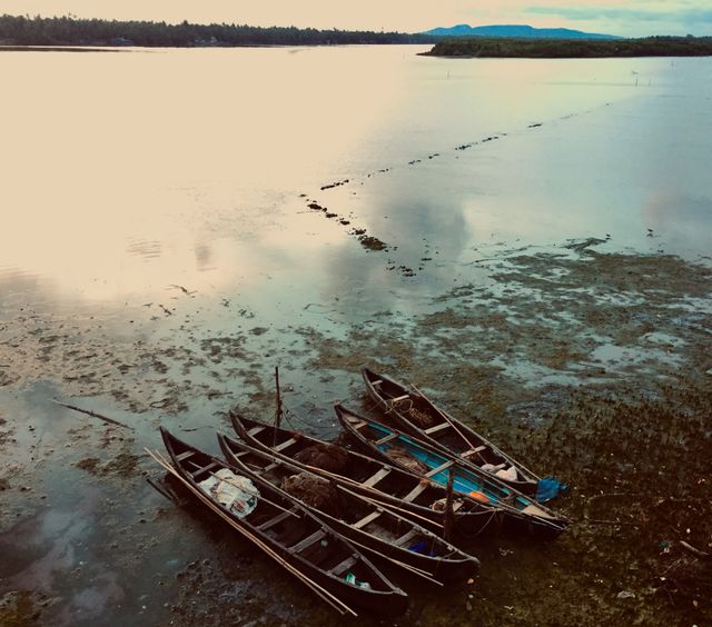 Boats 🚣‍♀️