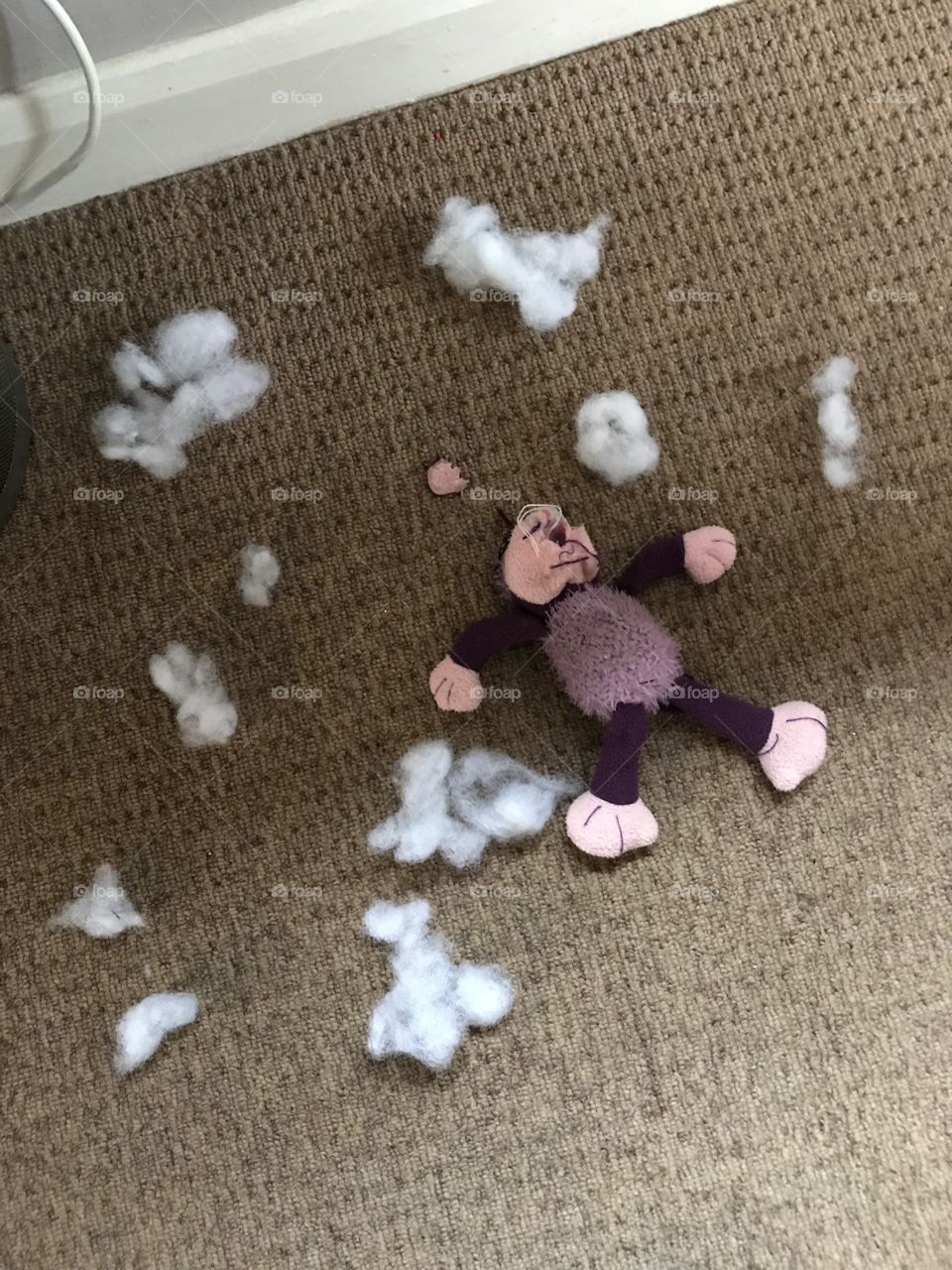 Crime scene after puppy attack