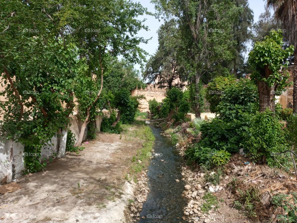 Beautiful parc jnane sbil in Fes/Morocco