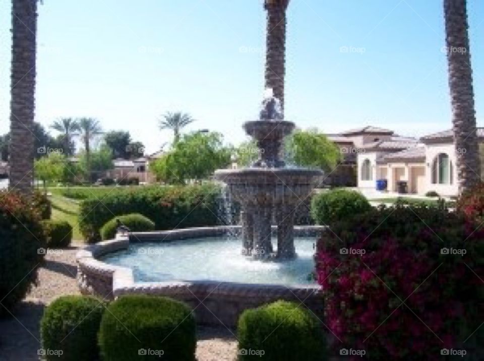 fountain 