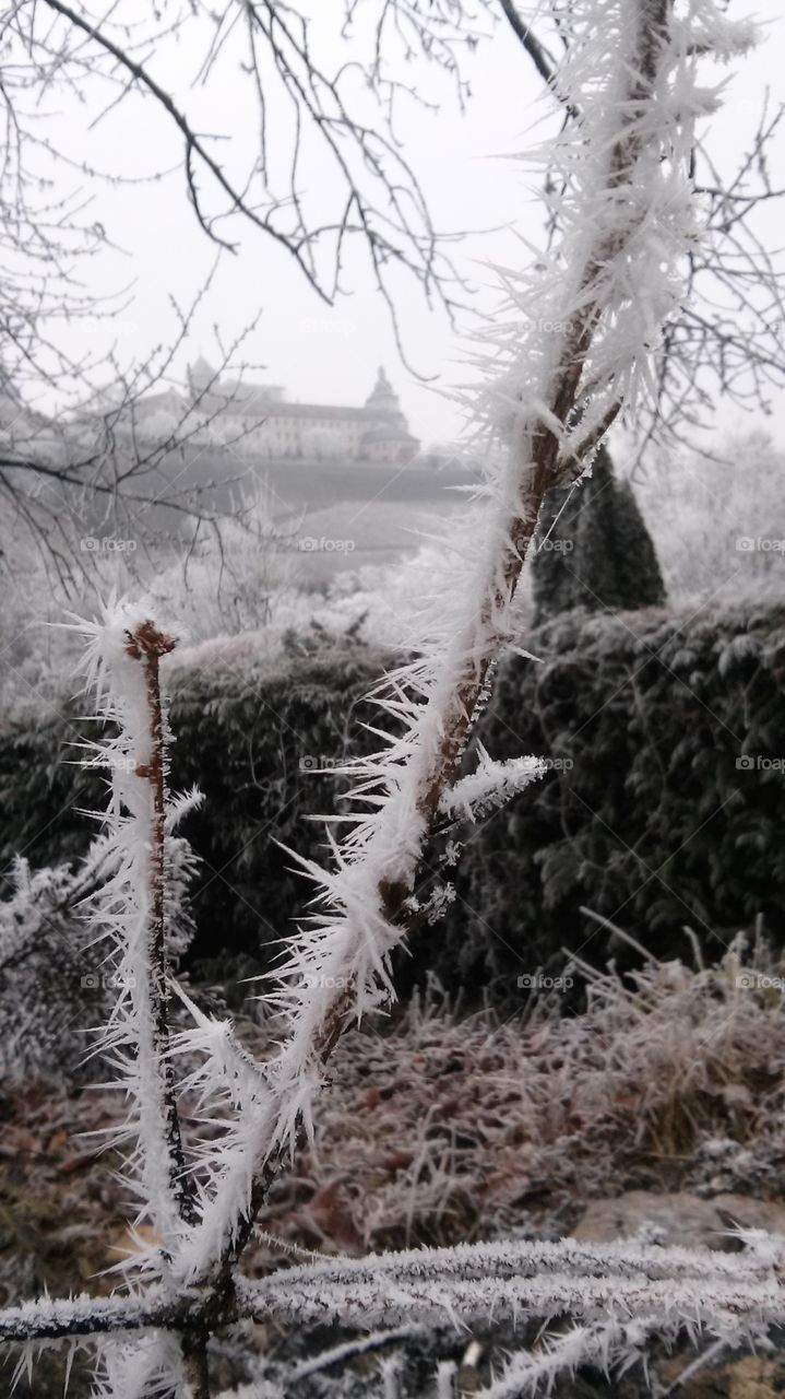 snowy, icy landscape