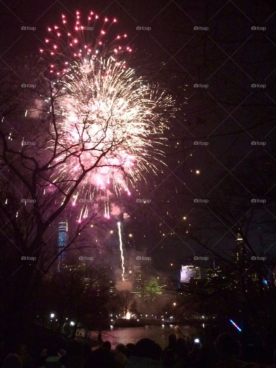New Year's in Central Park. Fireworks are launcedh from New York's Central Park in celebration of the new year.