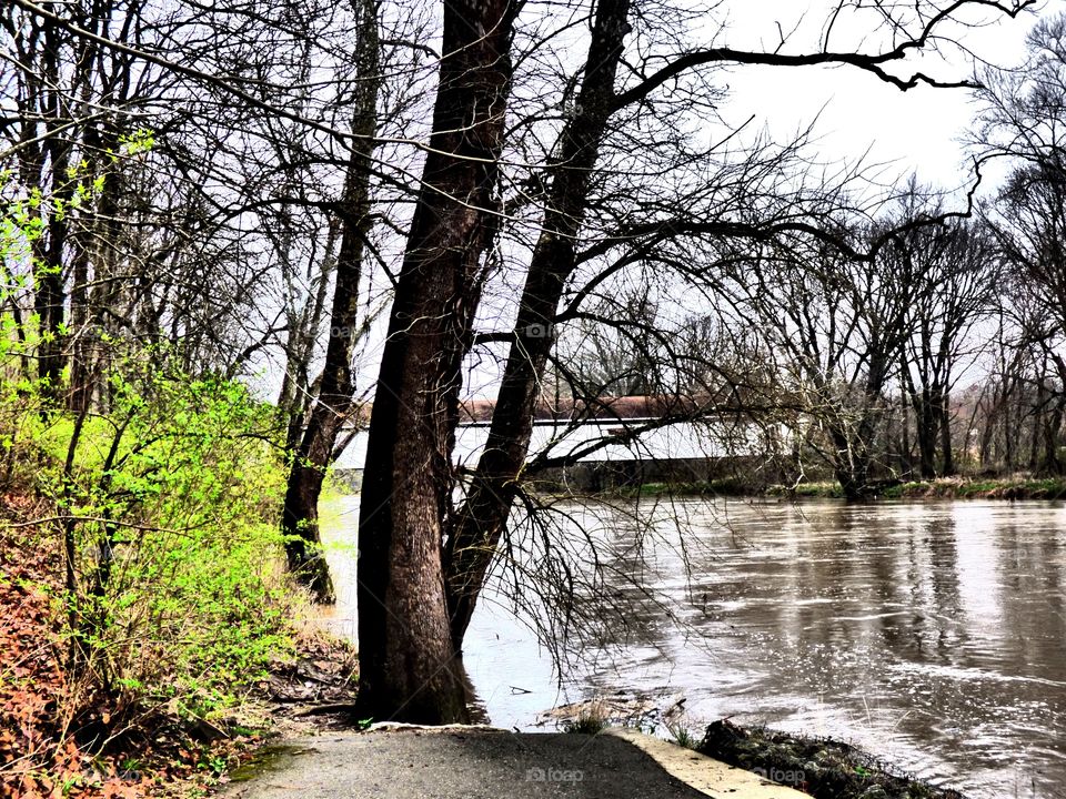 Spring covered bridge view