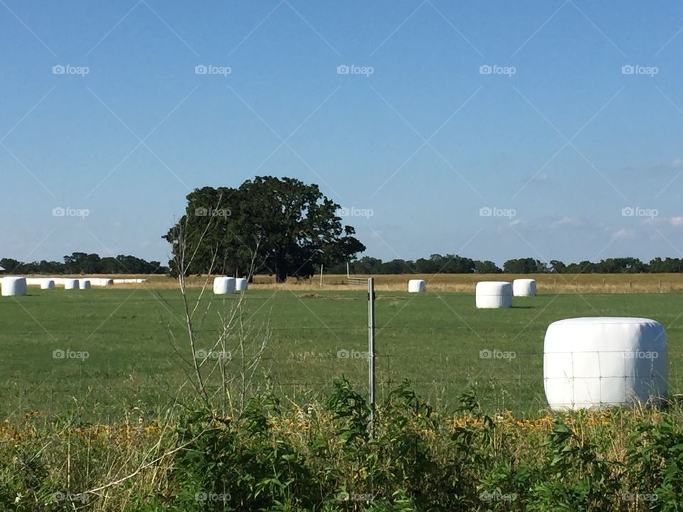 Hay wrapped in plastic in a field