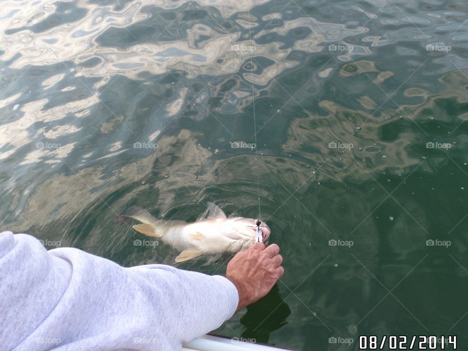 catching fish. Lake Erie