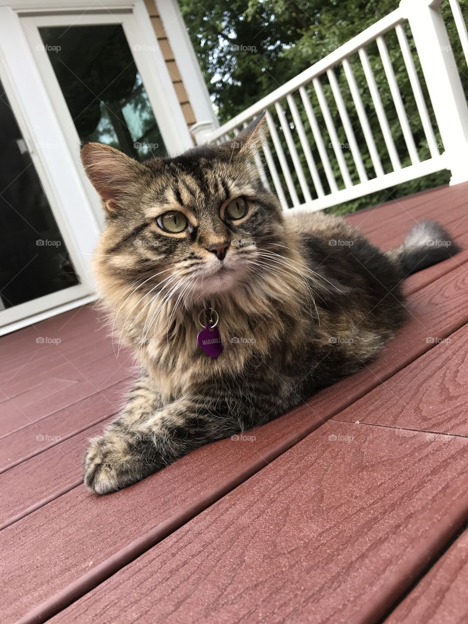 Chillin' on the Deck