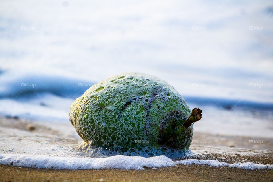 A story of a coconut which going to start a new island #summer Additionally after this shot my dslr immersed in sea water.. I'm very much worrying #sad
