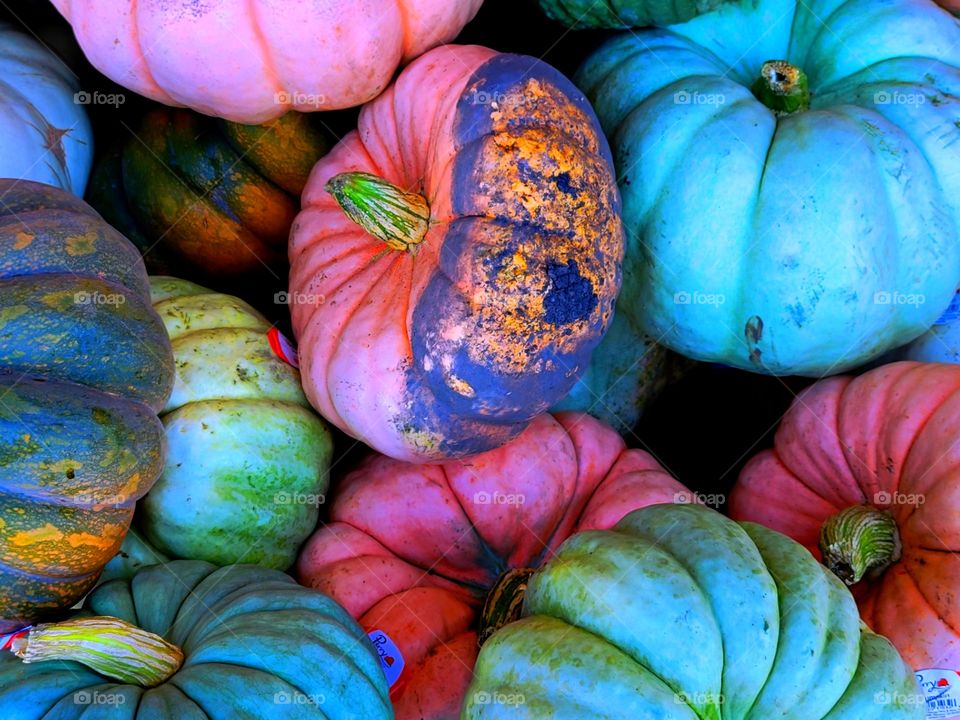 Multicolored Pumpkin photography