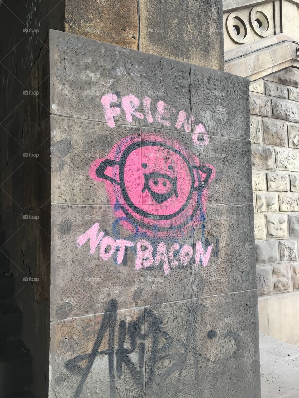 Friend, not bacon... vegan graffiti in Belgrade, Serbia 