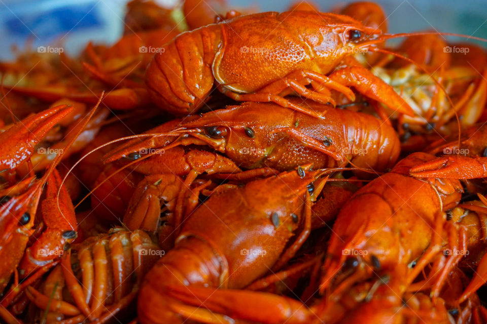 Pile of boiled red crawfish