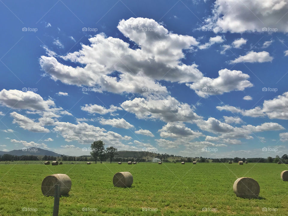 Hay bales and cloudy sky on farmland