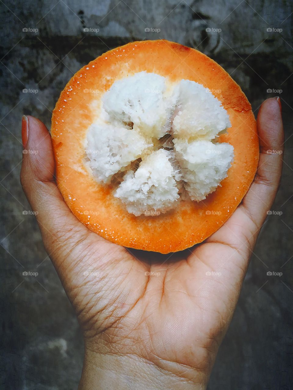 Cotton fruit. A hand holding a cotton fruit.