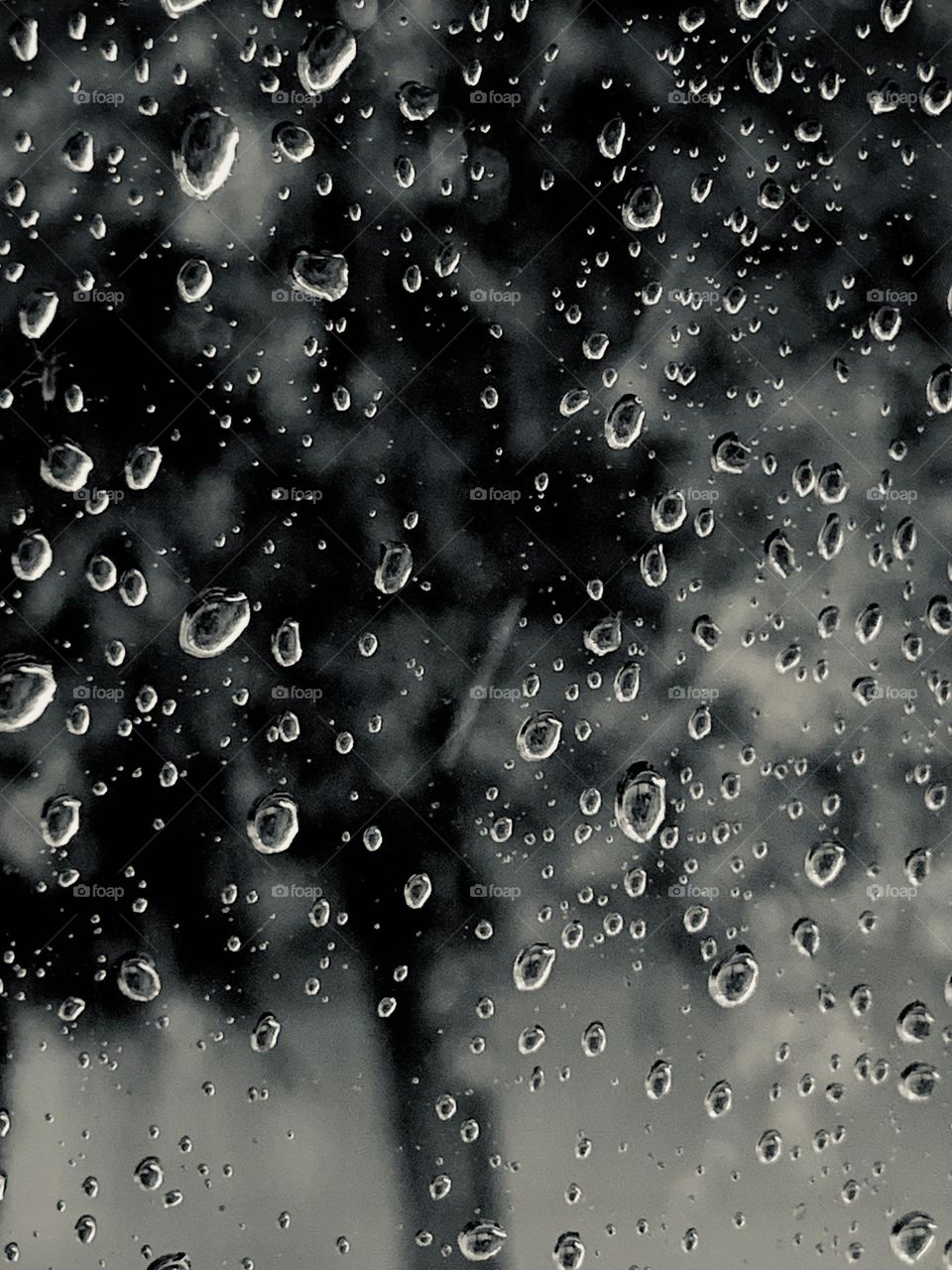 B&w raindrops 